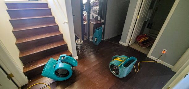 Best Flood restoration services  in Indian River Estates, FL