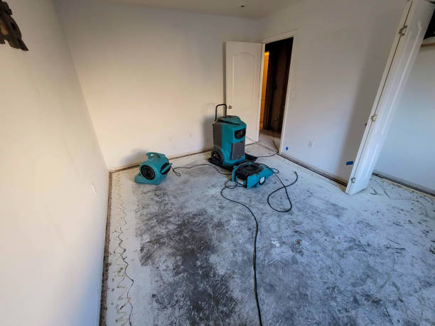 Best Professional water damage repair  in Indian River Estates, FL