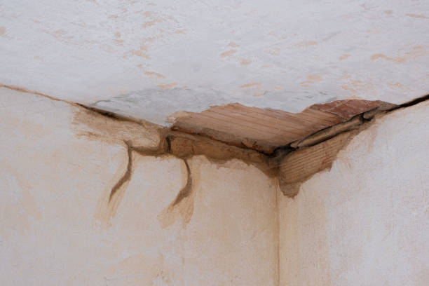 Best Water damage contractors near me  in Indian River Estates, FL