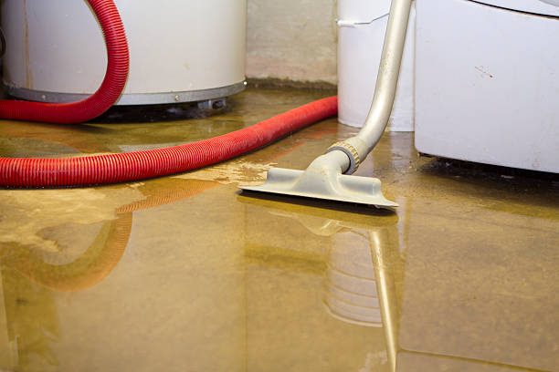  Indian River Estates, FL Water damage restoration Pros